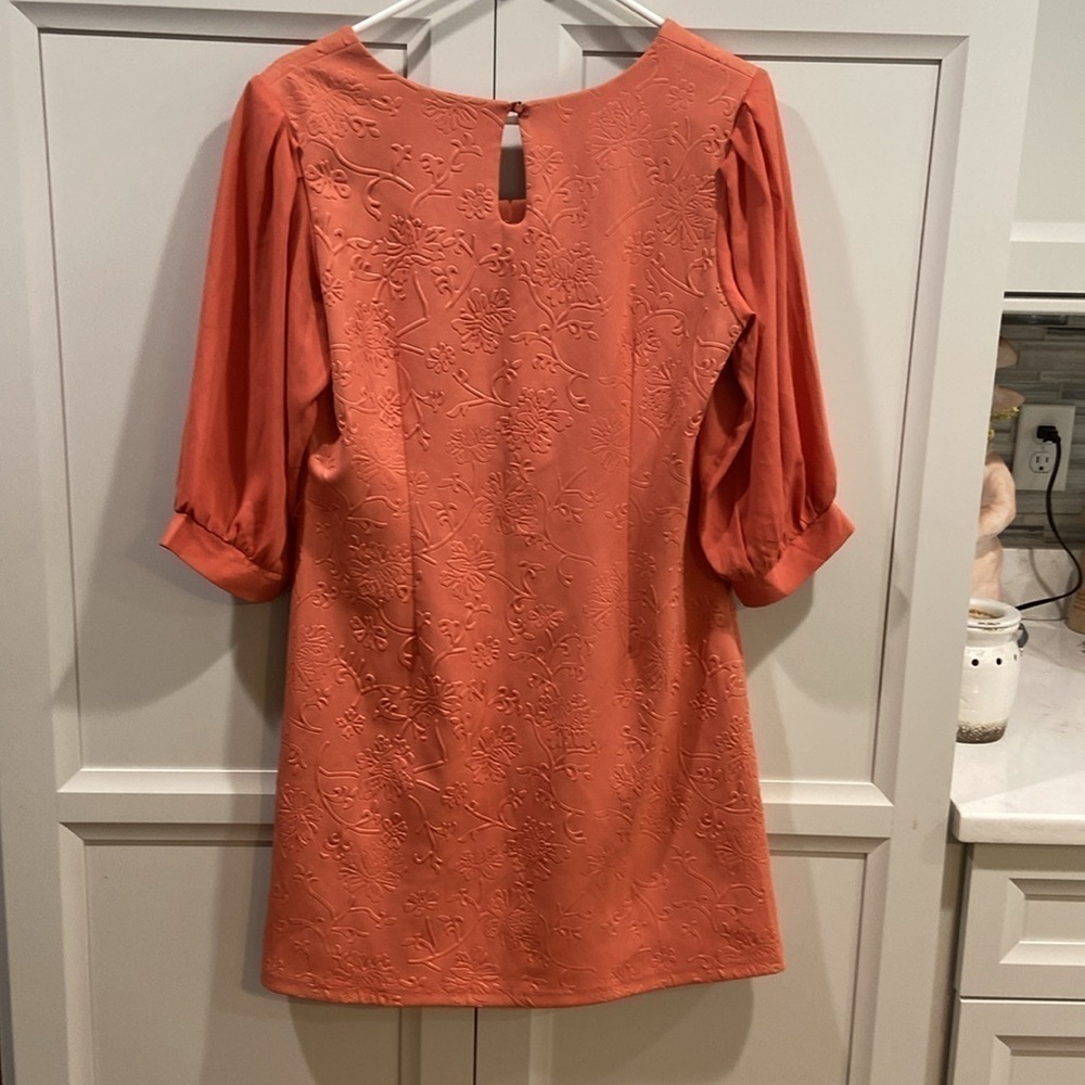Altar'd State A line dress Large chiffon sleeves embossed print peach - Picture 4 of 12